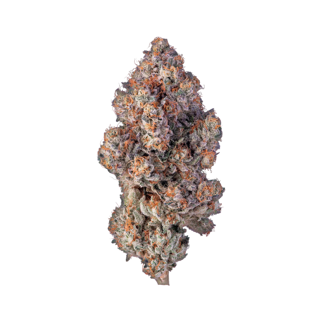 avaay Khalifa 28/1 KM "Khalifa Mints"