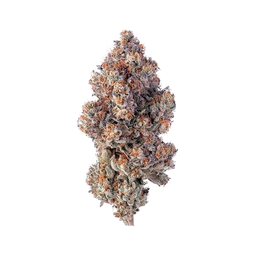 avaay Khalifa 28/1 KM "Khalifa Mints"