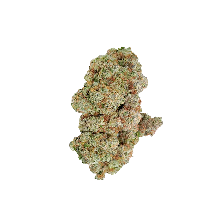 avaay Signature 31/1 OGC "Ocean Grown Cookies"