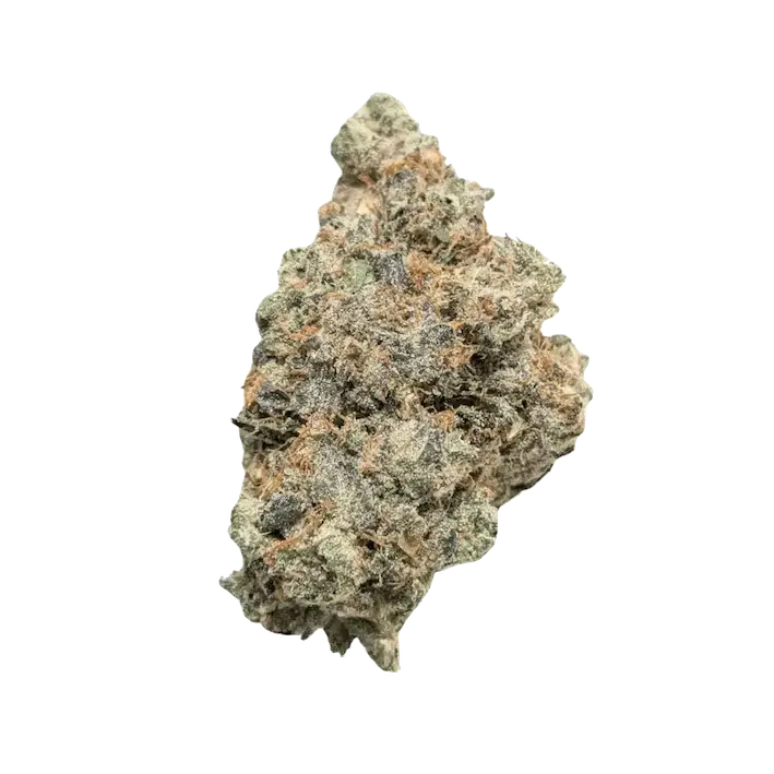 Bathera 35/1 PP "Polar Pop"