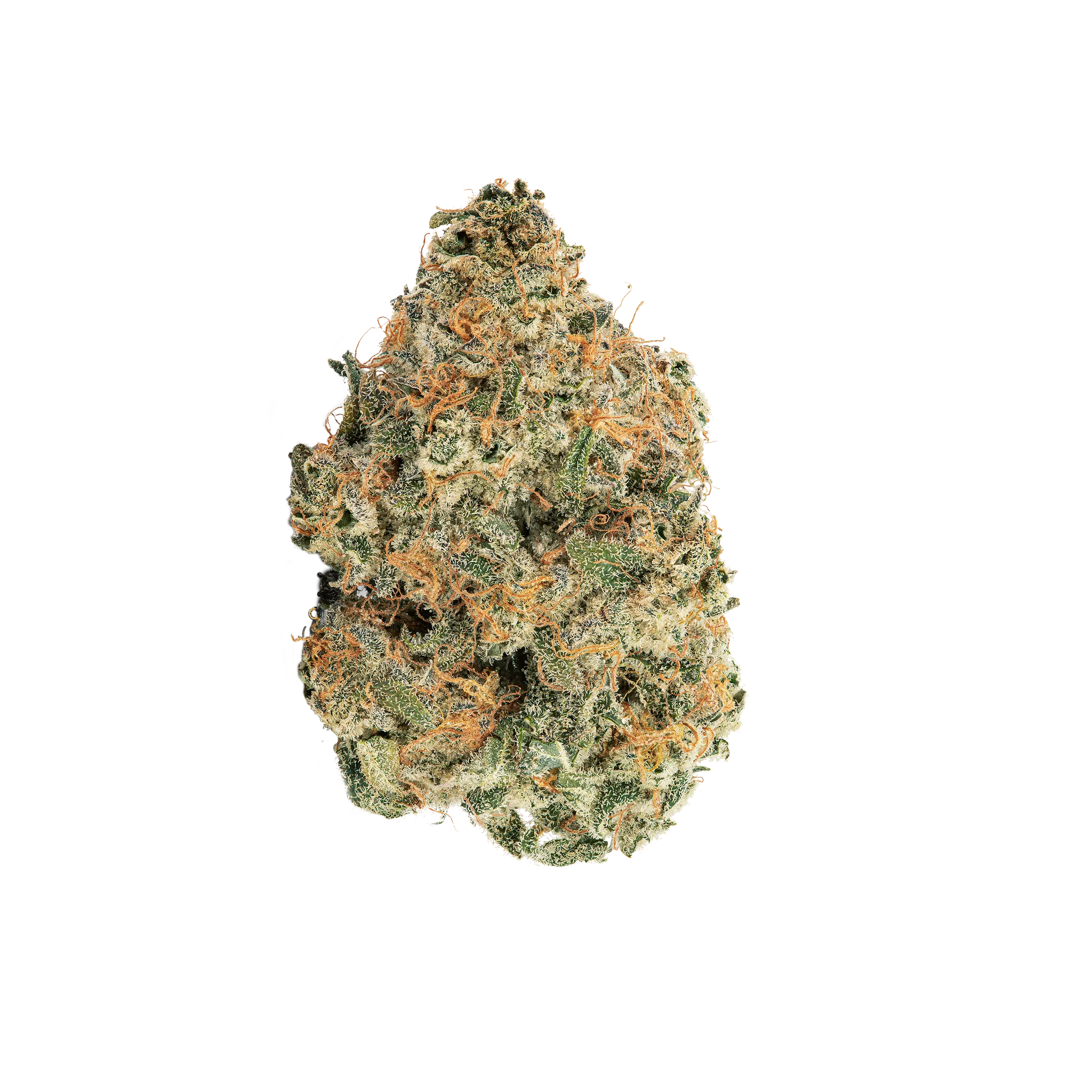 avaay 29/1 SCP "Sour Cherry Punch"