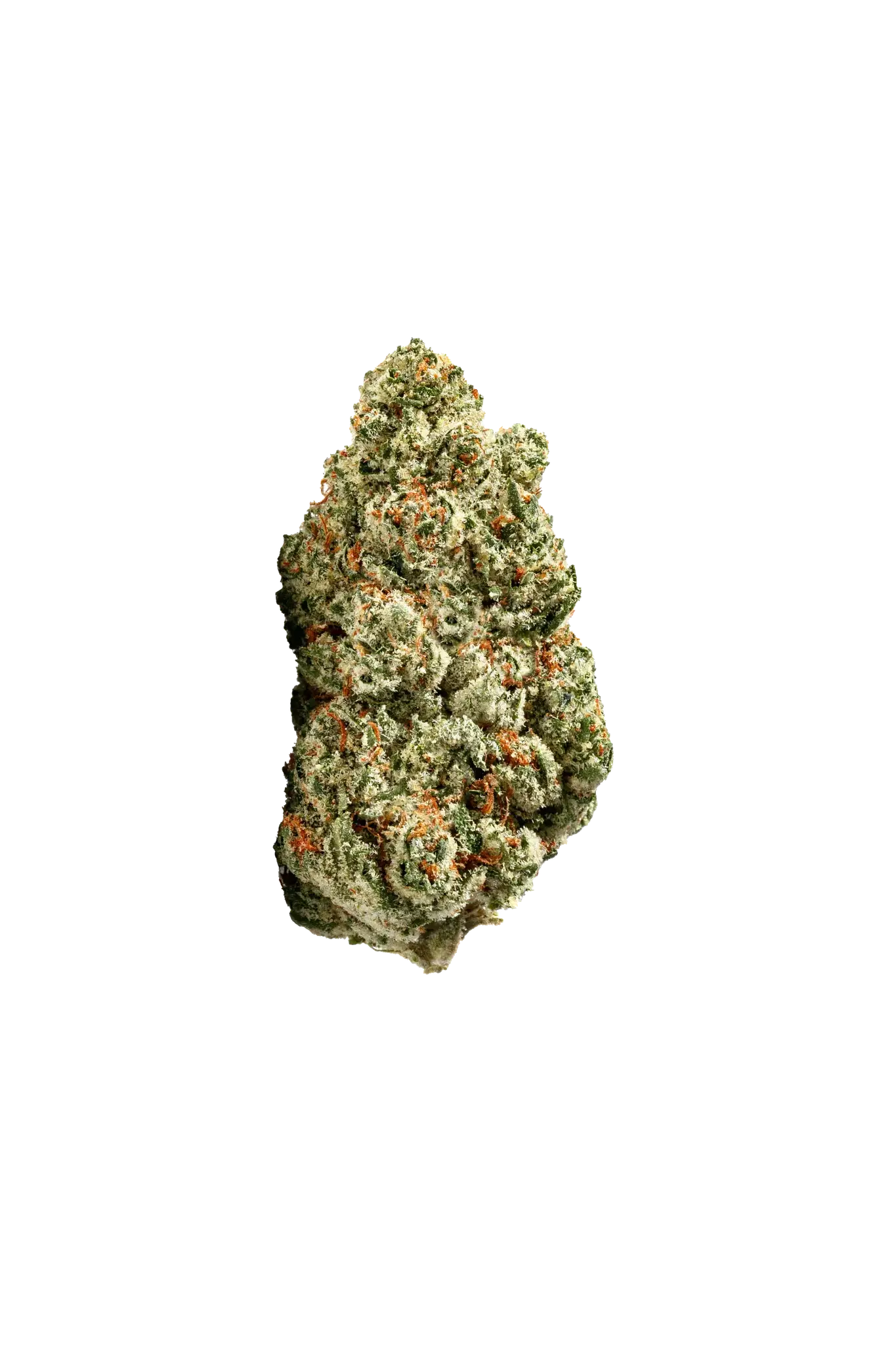 ZOIKS 22/1 SR "Space Rider"