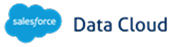 Salesforce Data Cloud