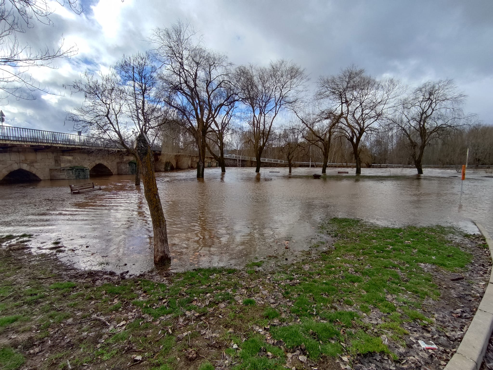 Río Tera a su paso por Garray esta semana