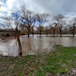 WhatsApp Image 2023-01-17 at 12.06.22