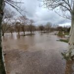 WhatsApp Image 2023-01-17 at 12.06.23 (1)