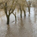 WhatsApp Image 2023-01-17 at 12.06.24 (1)