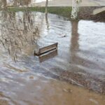 WhatsApp Image 2023-01-17 at 12.06.24