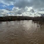 WhatsApp Image 2023-01-17 at 12.06.25 (1)