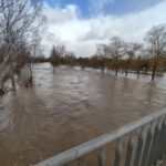 WhatsApp Image 2023-01-17 at 12.06.25