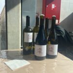 56311C68-005E-4839-981B-7EA319DD957D