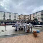 CC88EE93-3377-439F-9DEE-242BCDDA88F5