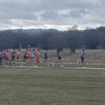 WhatsApp Image 2023-03-11 at 13.35.15