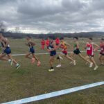 WhatsApp Image 2023-03-11 at 13.36.08