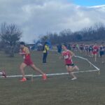 WhatsApp Image 2023-03-11 at 13.37.16