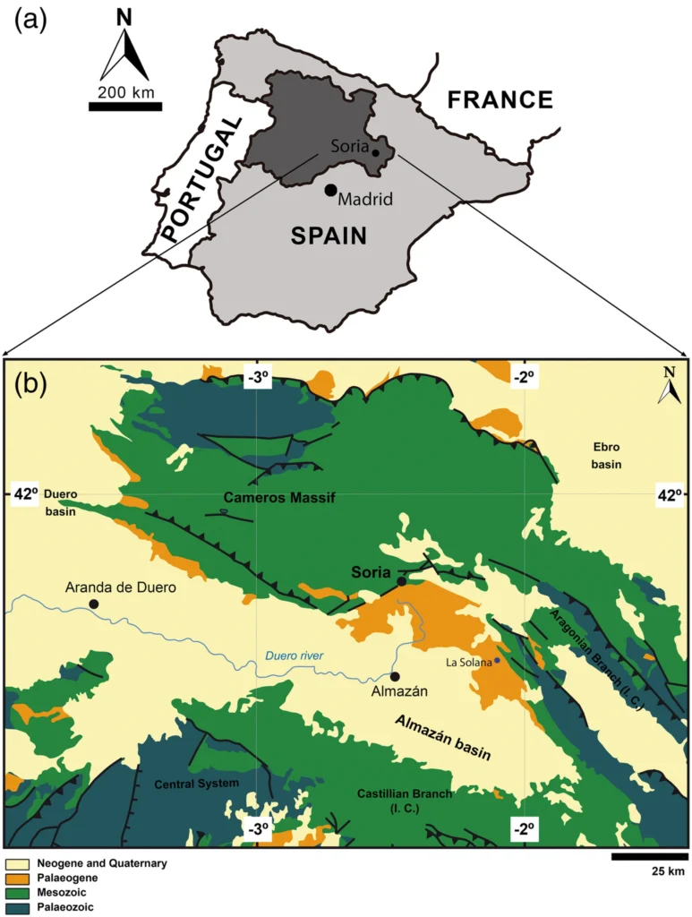 Geological map of the Duero Basin and location of the fossil vertebrate site of La Solana. (a) Location of Castilla y León autonomous community (dark gray) within Spain (light gray), showing the locations of Madrid and Soria cities. (b) Geological map of the Almazán Basin showing the location of the La Solana fossil site (modified from Ortega et al., 2022; Rodríguez Fernández et al., 2015).