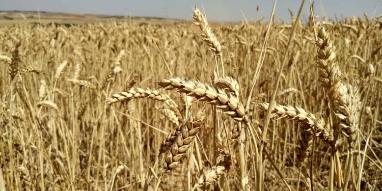 FOTO: Adrián del Cura