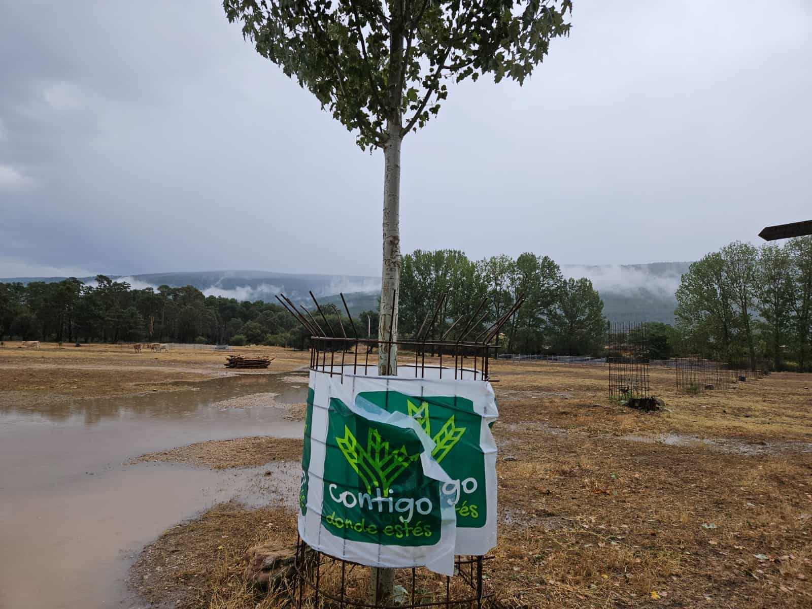 Paraje de El Regajo este sábado 2 de septiembre de 2023 en Vinuesa. FOTO: Ayto. de Vinuesa