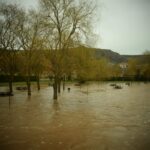 WhatsApp Image 2024-02-26 at 17.27.51 (1)