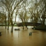 WhatsApp Image 2024-02-26 at 17.27.51 (2)