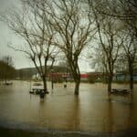 WhatsApp Image 2024-02-26 at 17.27.51 (3)