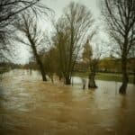 WhatsApp Image 2024-02-26 at 17.27.51 (4)