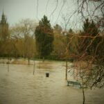 WhatsApp Image 2024-02-26 at 17.27.52