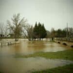 WhatsApp Image 2024-02-26 at 17.27.52 (2)