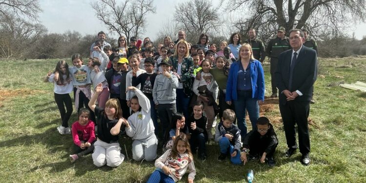 Dia Internacional de los Bosques