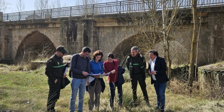 puente medieval Almazán