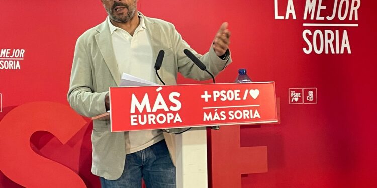 Luis Rey Soria-Castejón