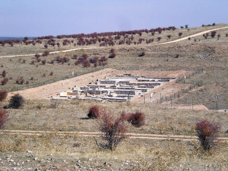 Yacimiento de Uxama. FOTO: Adrián del Cura.