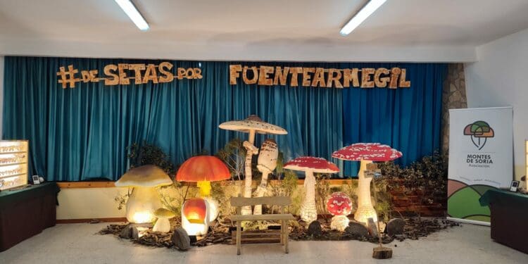 Arranca el Mycological Summer en Fuentearmegil