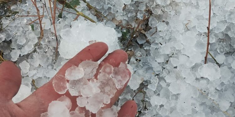 Granizo en Tiermes. 3-9-2024. FOTO: Javier López.