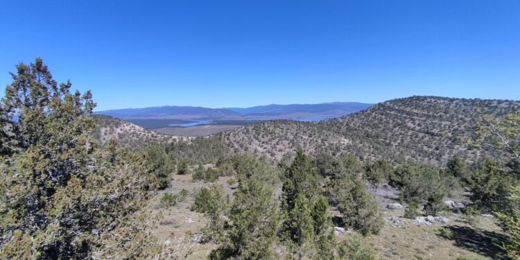 Zona de monte cercana al lugar del incendio. FOTO: Adrián del Cura. Abril 2024