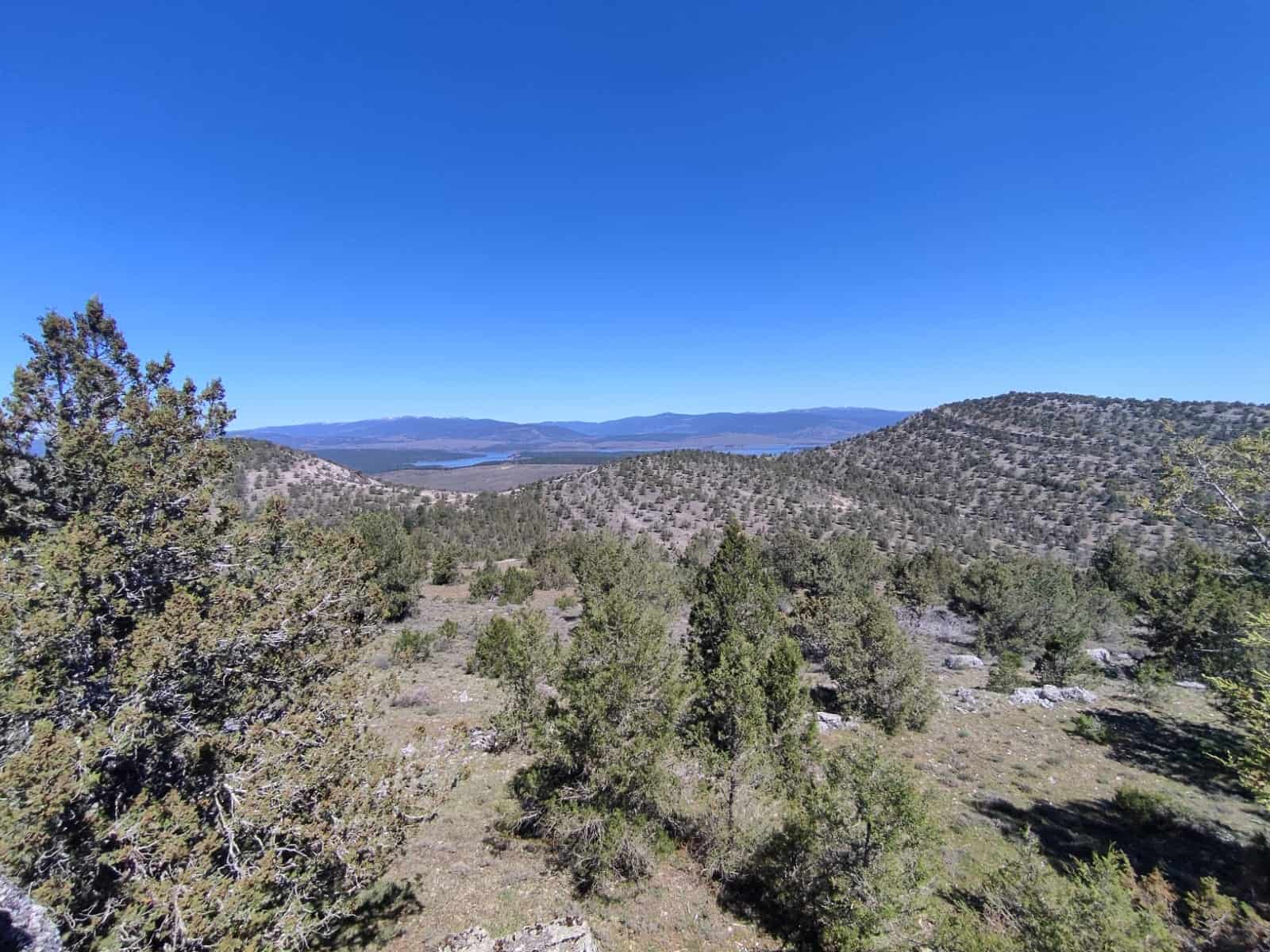 Zona de monte cercana al lugar del incendio. FOTO: Adrián del Cura. Abril 2024
