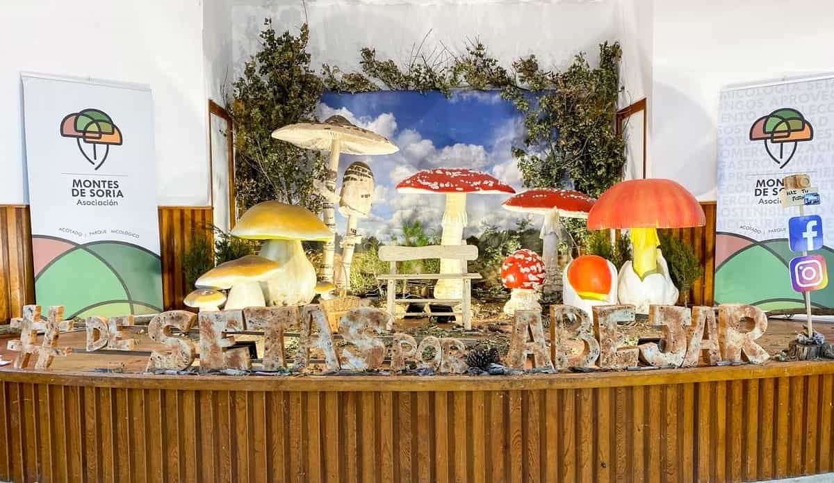 campaña micológica otoño