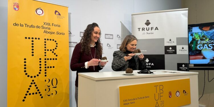 Feria de la Trufa Abejar