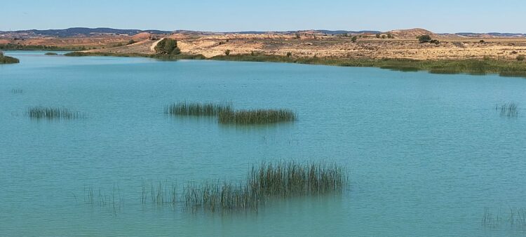 Embalse de Monteagudo