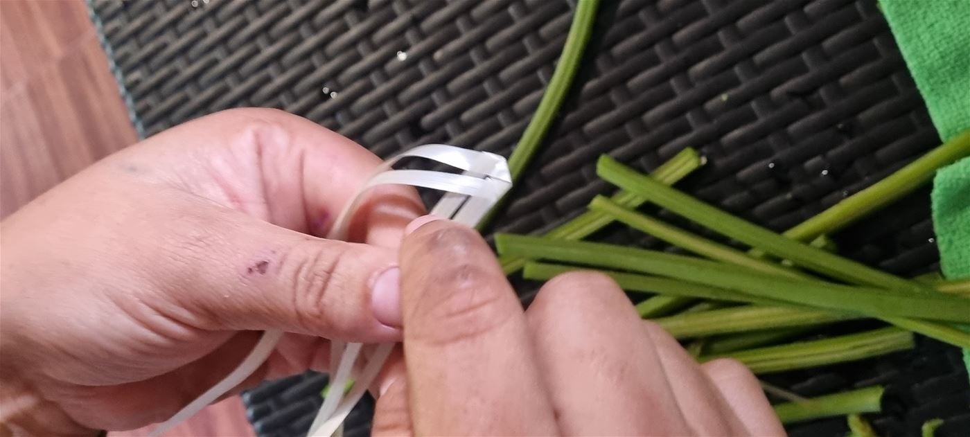 Atelier - Expérience Les trésors de la paille chouchou