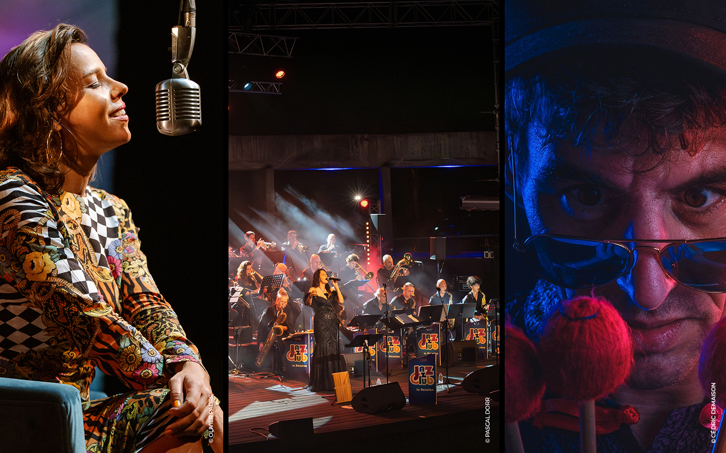 Concert - Big Band du Jazz Club invite Tine Poppy et David Fourdrinoy
