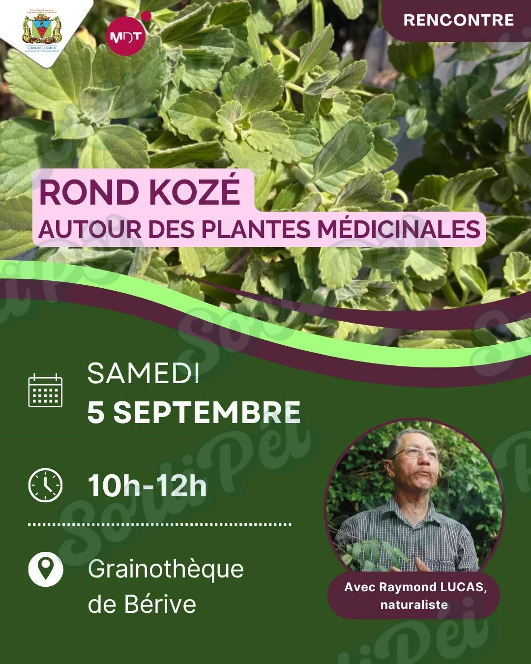 Rencontre - Rond Kozé autour des plantes médicinales