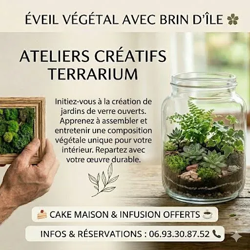 Atelier - Création de terrarium