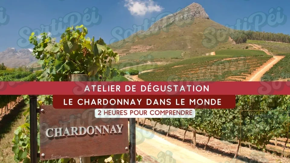 Atelier - Dégustation de Chardonnay