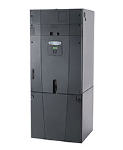 TAM8