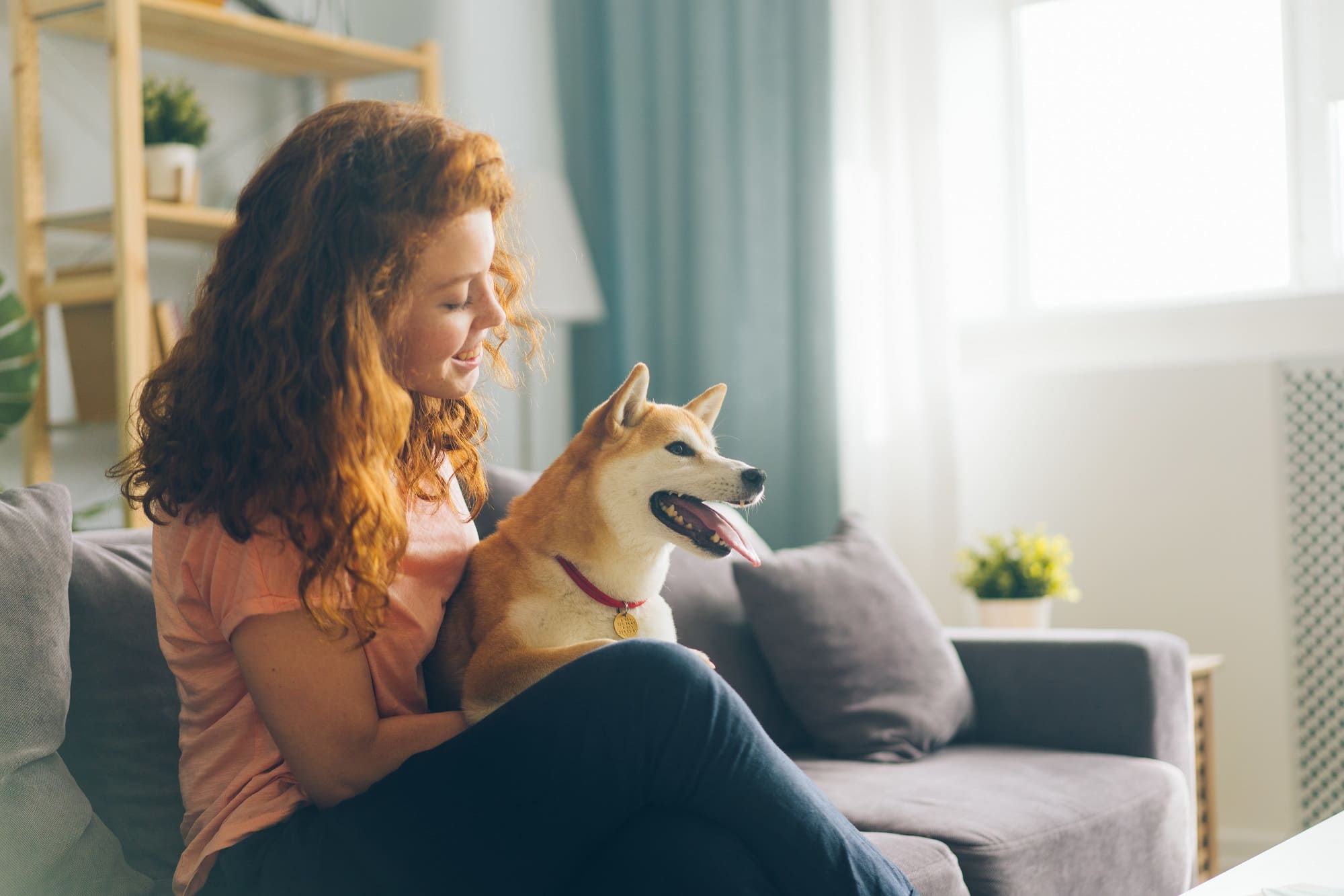 How to Improve Home Air Quality With Pets