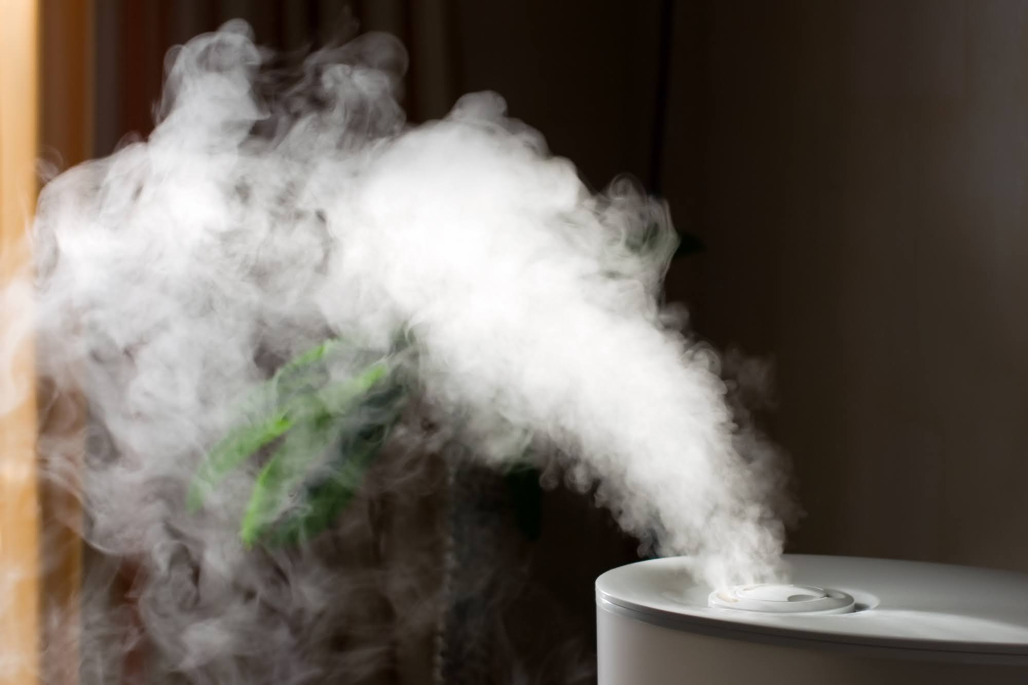 Signs That Indicate You Need A Humidifier At Home