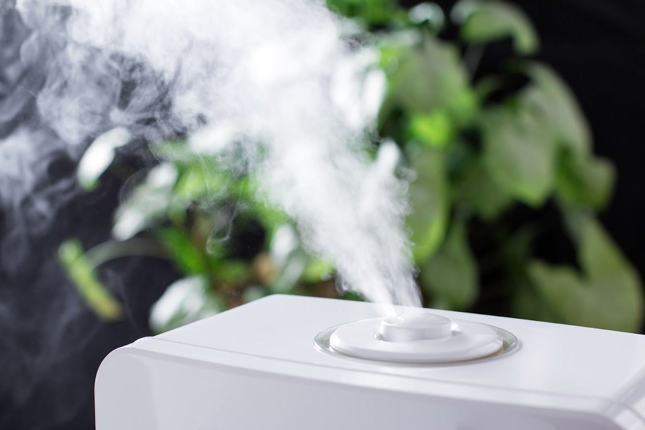 6 Factors to Consider When Purchasing a Humidifier