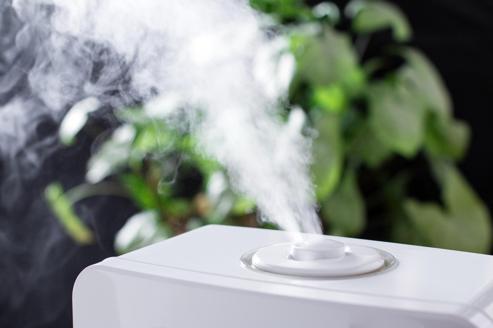 How a Furnace-Mounted Humidifier Works