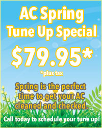 Spring Tune Up Special